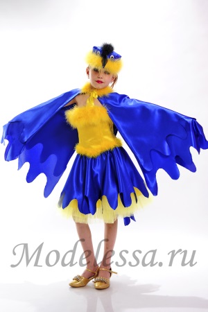 Cum sa faci un costum cu mâinile pițigoi fotografie (meserii iută cu sistemele de mâinile lor) Cum sa faci un costum cu mâinile lui pițigoi fotografie