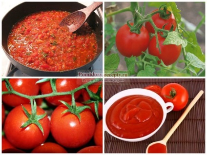 Cum sa faci cele mai bune rețete de pasta de tomate cu o fotografie (modul de a face pasta de tomate la domiciliu) Cum sa faci cele mai bune rețete de pasta de tomate cu fotografii