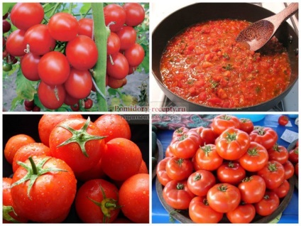 Cum sa faci cele mai bune rețete de pasta de tomate cu o fotografie (modul de a face pasta de tomate la domiciliu) Cum sa faci cele mai bune rețete de pasta de tomate cu fotografii