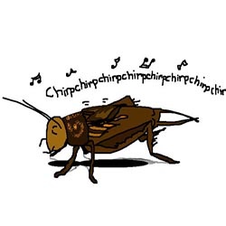 Ca cricket chirps (psihologia copilului) Ca chirps cricket