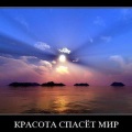 Cum să stil lac parul tau (unghii de păr) Cum să stil lac parului