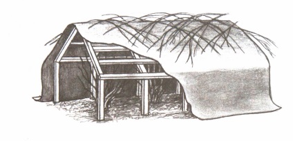 Cum să aibă grijă de trandafiri în Siberia (de ingrijire) Cum să aibă grijă de trandafiri în Siberia