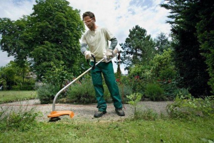 Ce masina de tuns pentru a alege caracteristicile de bază (benzină masina de tuns iarba pentru a alege) Ce masina de tuns pentru a alege principalele caracteristici