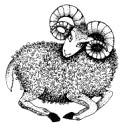 Cum se comporta pe semne zodiacale curva (catea) Cum să se comporte la cățele prin zodiac