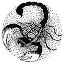Cum se comporta pe semne zodiacale curva (catea) Cum să se comporte la cățele prin zodiac