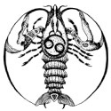 Cum se comporta pe semne zodiacale curva (catea) Cum să se comporte la cățele prin zodiac