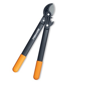 Cum de a alege un Lopper grădină pruner pe un mâner lung beneficii, utilizarea nuanțelor regulilor (lungi) Cum de a alege un Lopper grădină pruner pe un mâner lung beneficii, utilizarea nuanțelor normelor