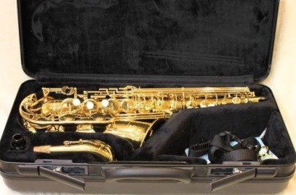 Cum de a alege un saxofon - student, intermediar, Professional (selectați) Cum de a alege un saxofon - student, intermediar, profesional