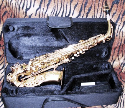 Cum de a alege un saxofon - Student, Intermediar, Professional (Student) Cum de a alege un saxofon - student, intermediar, profesional