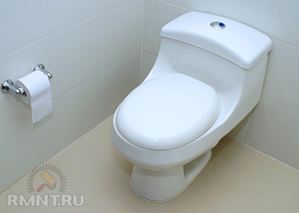 Cum de a alege o toaletă modernă (WC) Cum de a alege o toaletă modernă