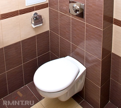 Cum de a alege o toaletă modernă (WC) Cum de a alege o toaletă modernă