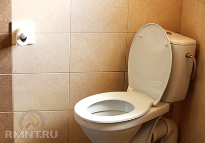 Cum de a alege o toaletă modernă (WC) Cum de a alege o toaletă modernă