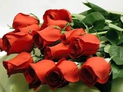 Cum de a alege flori (alege) Cum de a alege flori