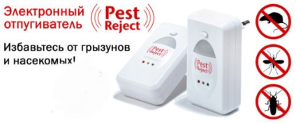 Cum sunt casa (lenjerie de pat) tipuri de bug-uri, foto, video (vizualizări) Cum sunt casa (lenjerie de pat) tipuri de bug-uri, foto, video