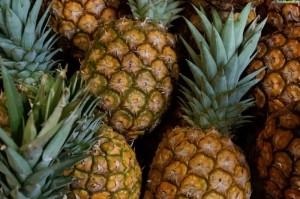 Cum să crească fructul pasiunii de plante magice osoase (cresc) Cum să crească fructul pasiunii de plante magice os