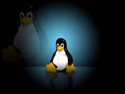 Cum se rupe în partiții Linux (Linux) În Linux pauză Forum