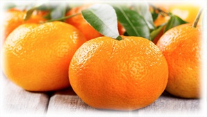 În ceea ce mandarinele stocate pentru utilizare ulterioară se aplică condițiile filistine interne (tangerine) În ceea ce mandarinele stocate pentru utilizare ulterioară se aplică condițiilor interne filistin