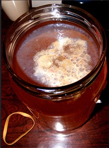 Cum se păstrează Kombucha (ciuperci) Cum se păstrează Kombucha