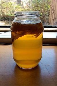 Ca magazin Kombucha (magazin) Cum se păstrează Kombucha