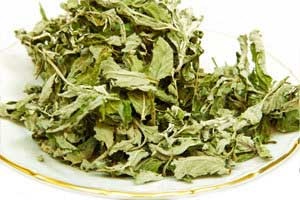 Cum se păstrează menta 1 (foto sursa vizardis) Cum se păstrează menta 1