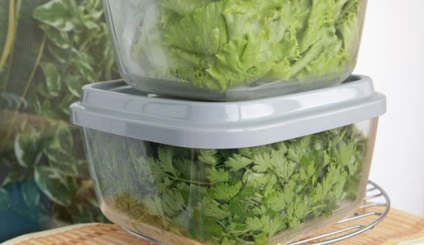 Cum se păstrează mentă proaspătă și păstreze proprietățile sale (recipient de plastic după) Cum se păstrează mentă proaspătă și păstreze proprietățile sale