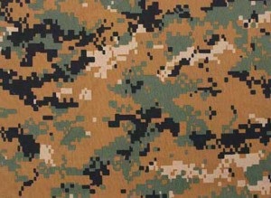 Camuflaj figura foto, selectați caracteristicile (camuflaj) Camuflaj fotografie figura, oferă o selecție