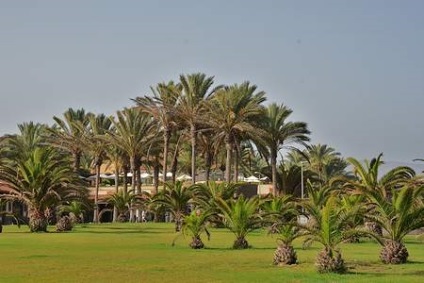 Insulele Canare pe harta lumii (Lanzarote) Insulele Canare pe harta lumii