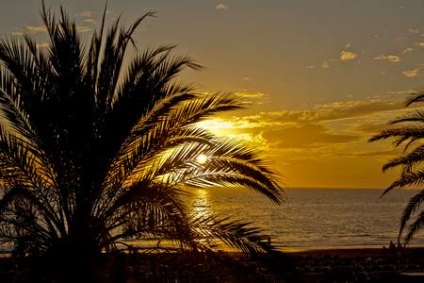 Insulele Canare pe harta lumii (Tenerife) Insulele Canare pe harta lumii
