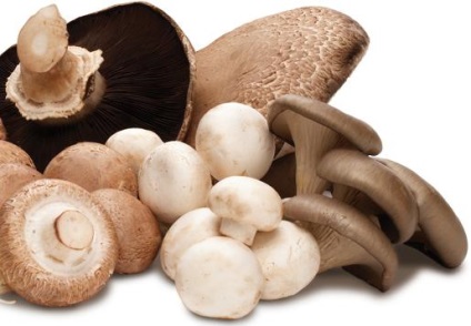 Categorii ciuperci și valoarea lor nutritivă (valoarea) Categorii ciuperci și valoarea lor nutritivă