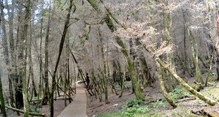 Caucazian Knot, turism in vacanta Daghestan pe coasta Mării Caspice (Turism) Nodul caucazian, turism in vacanta Daghestan pe coasta Mării Caspice