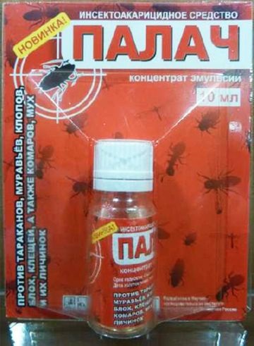 Klopov nu eficiente mijloace - călău (dar și „călău“) Paduchii nu au o cale de atac eficientă - călăul