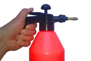 Paduchii nu au o cale de atac eficientă - calau (calaul bugurilor insecte remedii de luptă) Paduchii nu au o cale de atac eficientă - călăul