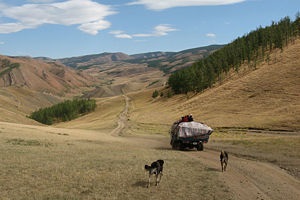 triburi nomade - l (nomazi) triburi nomade - este
