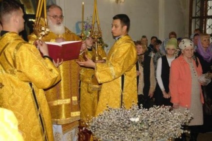 Când sfințească salcie sâmbătă sau duminică (mese) Când sfințească salcie sâmbătă sau duminică