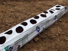 Nucă de cocos mat pentru cultivarea căpșuni și căpșuni în tuneluri și sere policarbonat (creștere) Nucă de cocos mat pentru cultivarea căpșuni și căpșuni în tuneluri de film și sere policarbonat
