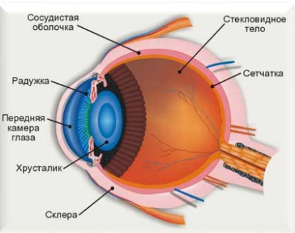 Concurență - viziune, sau după cum vom vedea