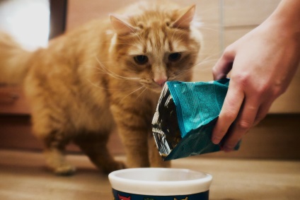 Planul de pro Cat alimente Purina (Purina) Cat Purina alimente plan de pro