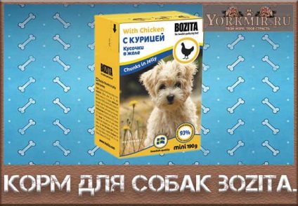 Dog food Bozita, comentarii veterinari, compoziția furajelor (furaje) Hrănire pentru bozita, recenzii, medici veterinari, compoziția furajelor