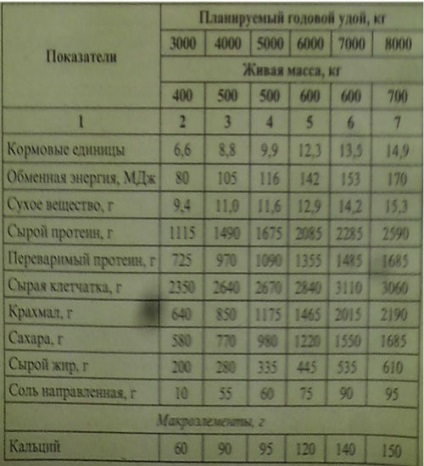 Hrănirea vaci care alăptează (vaca) Hrănirea vaci în lactație