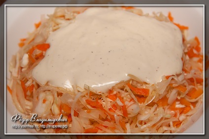 Cole slaw (cole slaw), rețete de casă (oțet) Cole slaw (cole slaw), rețete de casă