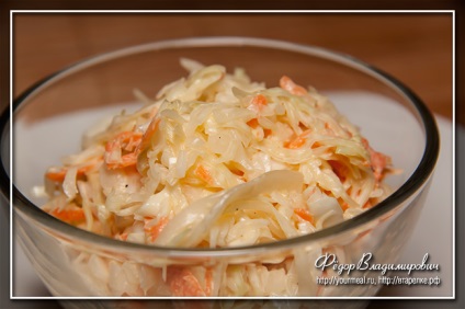 Cole slaw (cole slaw), rețete de casă (salate) Cole slaw (cole slaw), rețete de casă