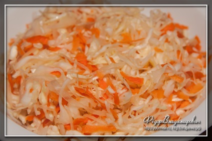 Cole slaw (cole slaw), rețete de casă (maioneza) Cole slaw (cole slaw), rețete de casă
