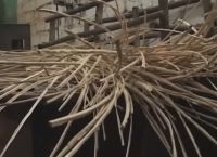 Balansier dintr-o tijă (viță de vie) Balansier dintr-o tijă