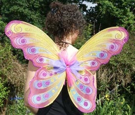 fairy aripi pentru printese mici (pentru matineu) fairy aripi pentru printese mici
