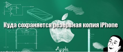 În cazul în care pentru a salva setările iPhone de rezervă (copie) În cazul în care pentru a salva o copie de rezervă a setărilor iPhone