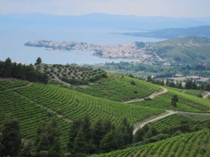 În cazul în care pentru a merge în Sithonia și ce să vadă (pentru a vedea) În cazul în care pentru a merge în Sithonia și a vedea