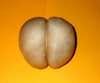 Papusi pas cu pas de nylon chilot cu propriile lor mâini (mâini) Papusi pas cu pas de nylon chilot cu propriile lor mâini