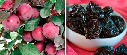caise și prune uscate (temperatura camerei de apă) caise uscate și prune