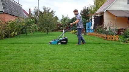 Elk căpușe fie periculoase pentru oameni și cum să lupte (căpușe) cu ei Elk căpușe fie periculoase pentru oameni și cum să lupte împotriva lor