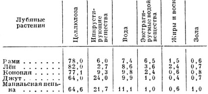 fibre liberiene (pectine lignification) Bast